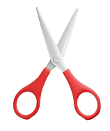 Successful Surgeries